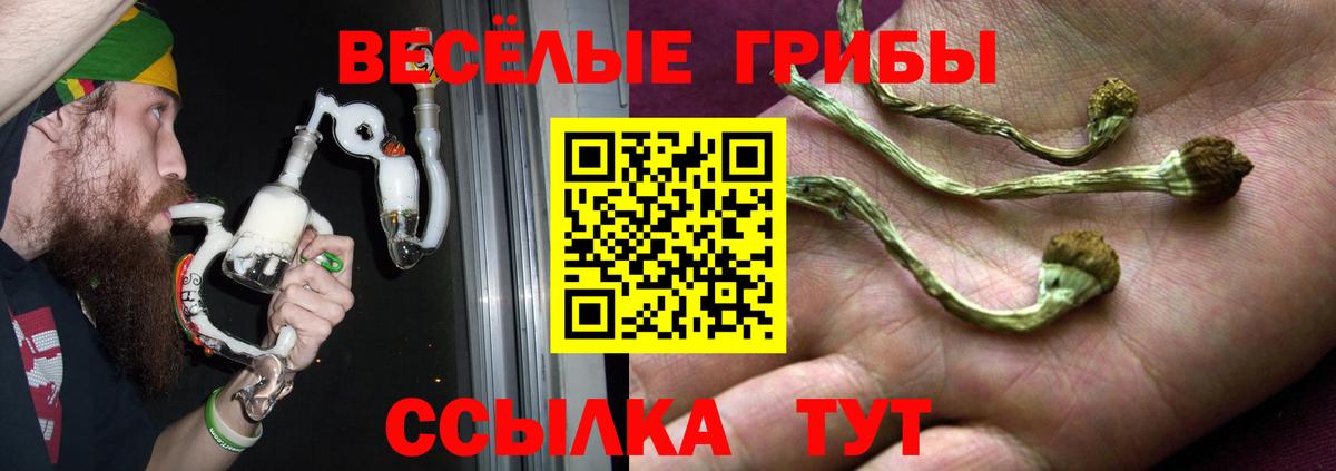 Галлюциногенные грибы GOLDEN TEACHER  Вход с VPN  Кудрово  Галлюциногенные грибы MAGIC MUSHROOMS 